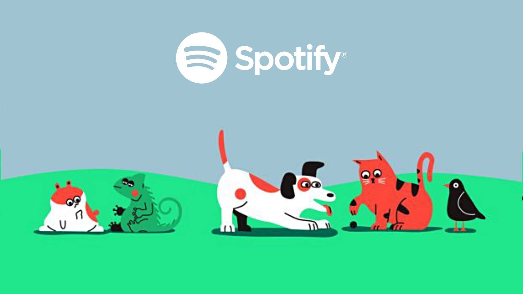 Spotify Pet